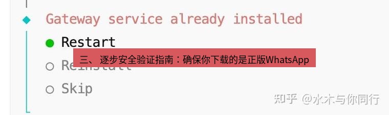 whatsapp 三、 逐步安全验证指南：确保你下载的是正版WhatsApp